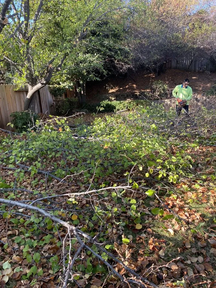 Expert outdoor landscaping for beautiful yards in Sacramento, CA by Santos Lawn Care