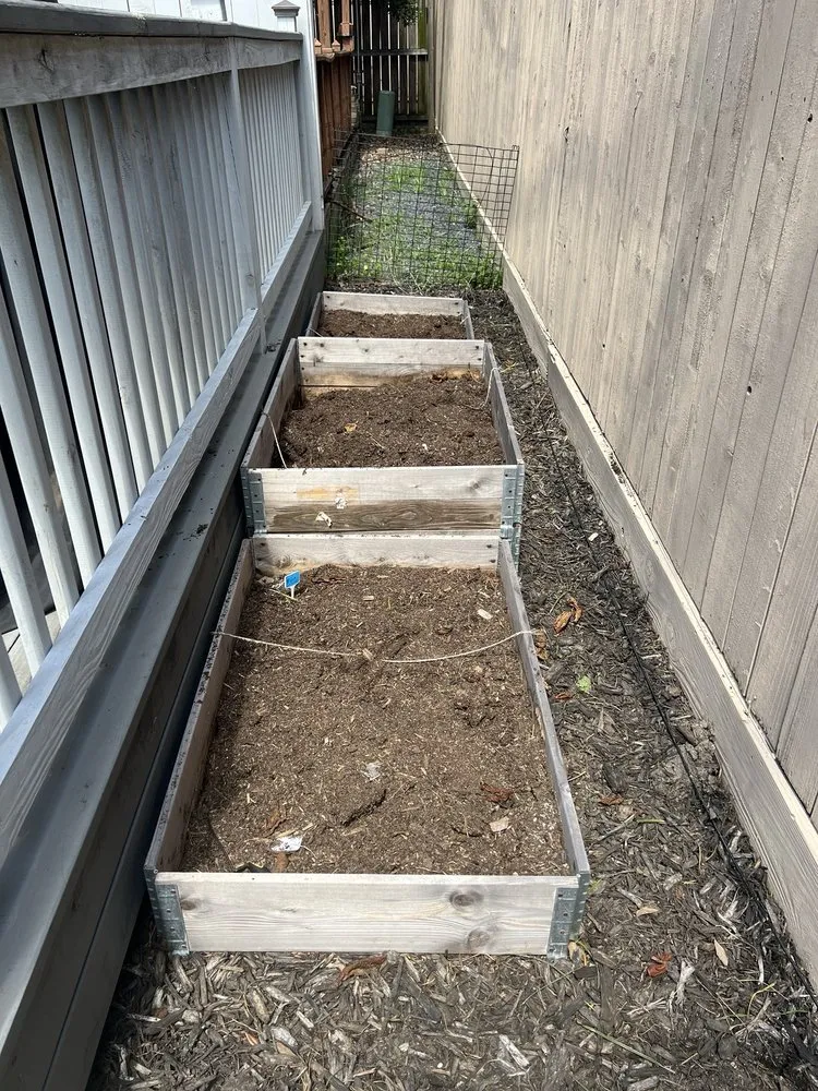 Professional landscaping services in Houston, TX by Santos Lawn Service