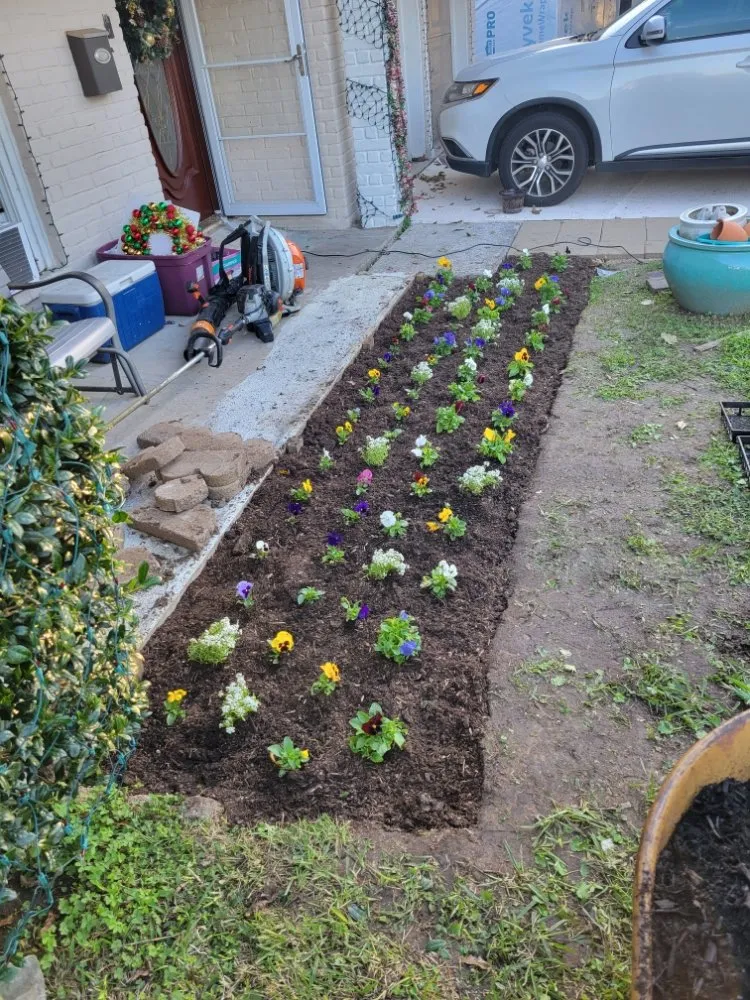 Local landscape design for beautiful yards in Houston, TX by Santos Lawn Service