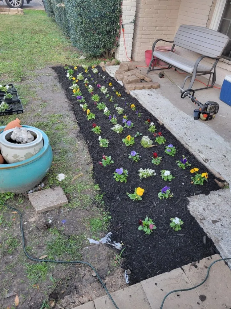 Reliable residential landscaping experts serving Houston, TX - Santos Lawn Service