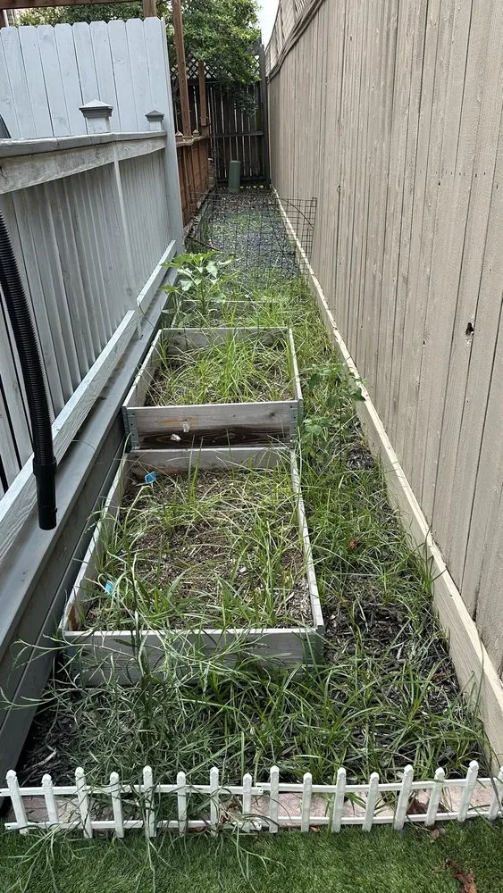 Trusted landscape design in Houston, TX - Santos Lawn Service