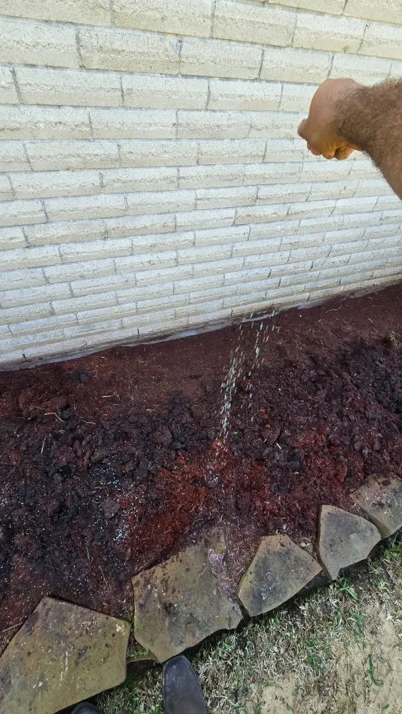 Professional landscape design for residential properties across Houston, TX - Santos Lawn Service