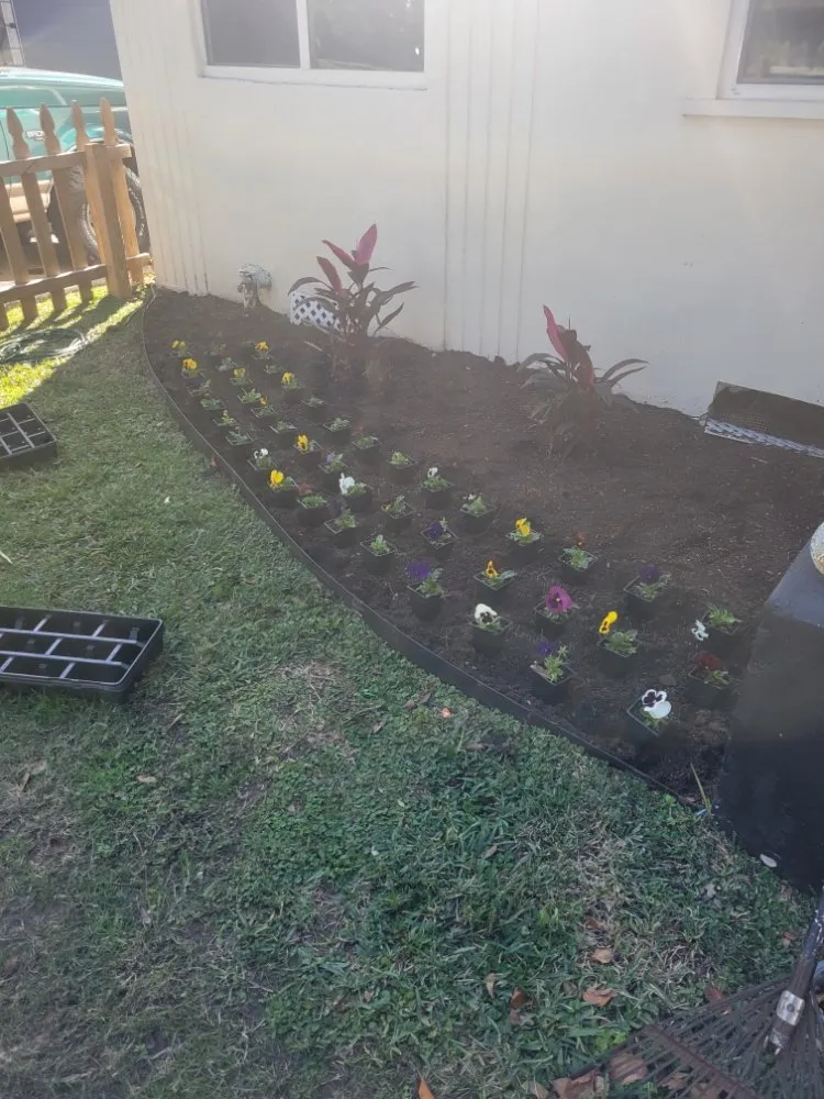 Custom landscape design in Houston, TX by Santos Lawn Service