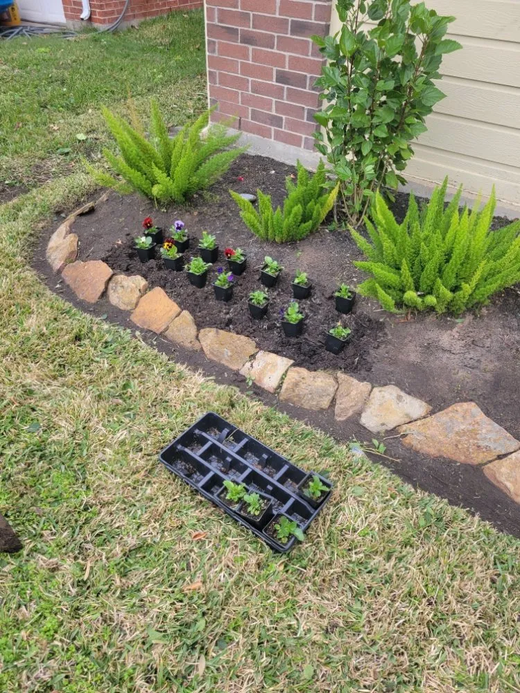 Professional yard cleanup service near you in Houston, TX by Santos Lawn Service