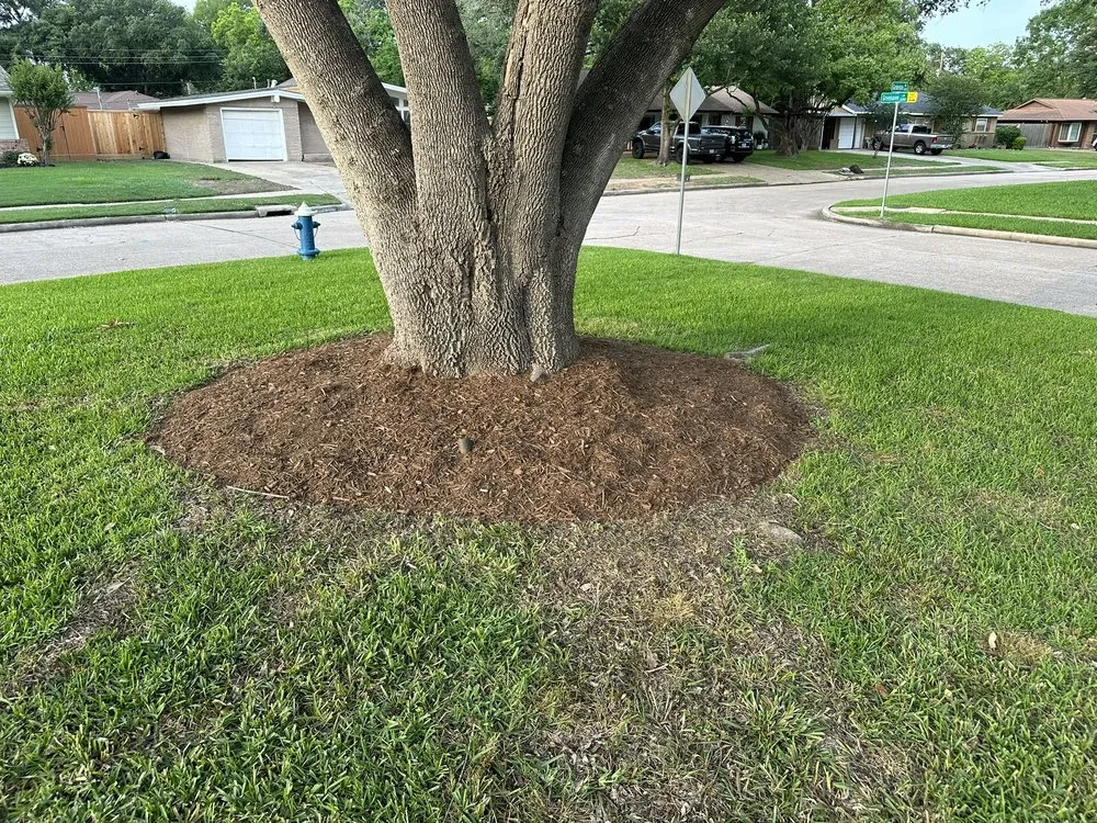 Professional landscape design experts serving Houston, TX - Santos Lawn Service