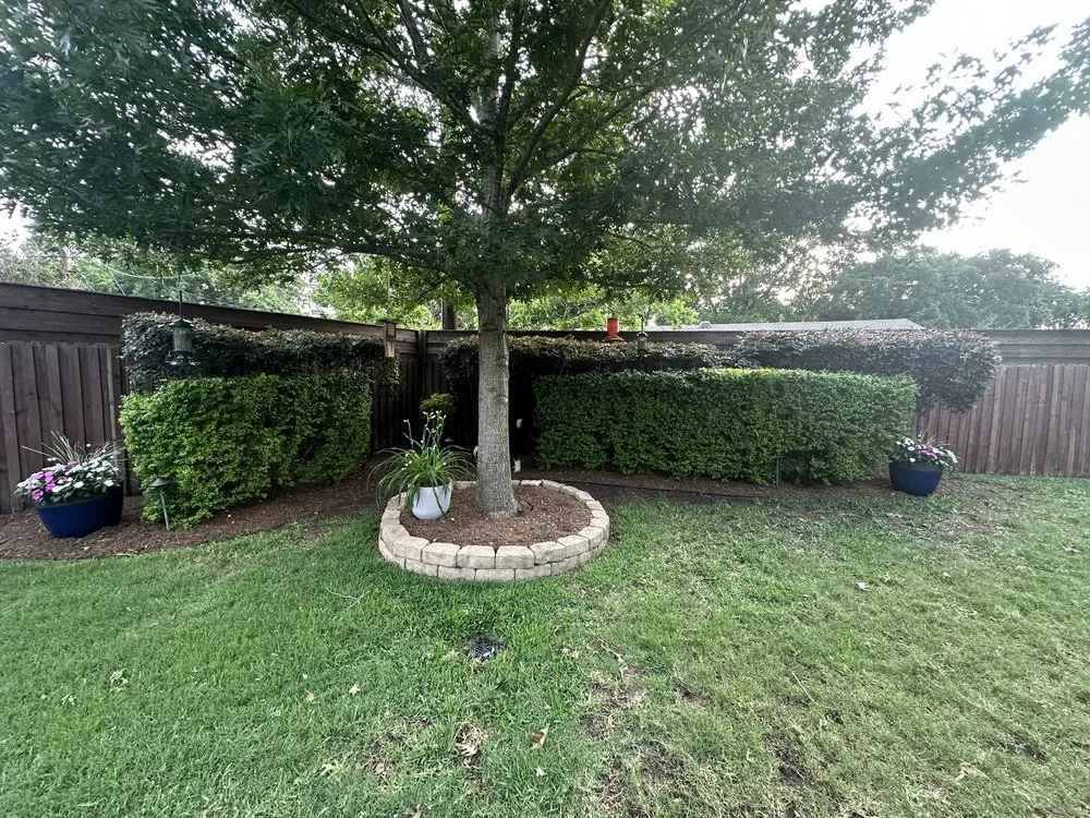 Professional landscaping services for homes across Houston, TX - Santos Lawn Service