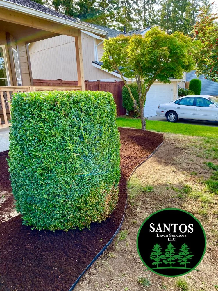Custom landscape installation for residential properties across Puyallup, WA - Santos Lawn Services