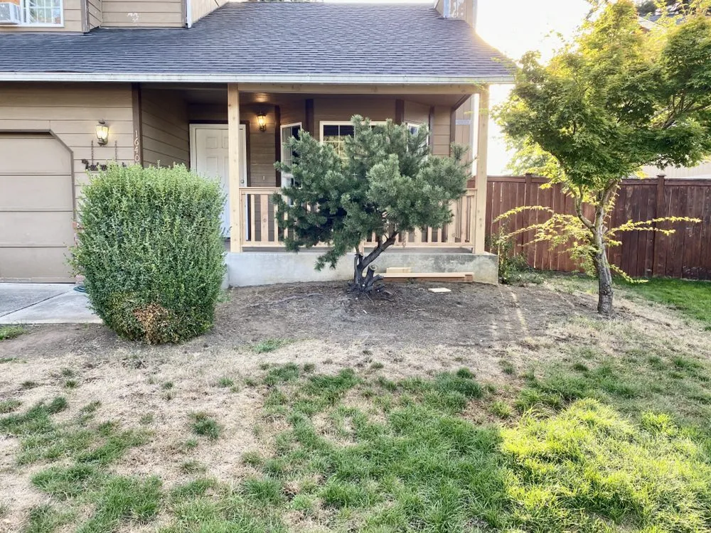 Affordable lawn care service experts serving Puyallup, WA - Santos Lawn Services