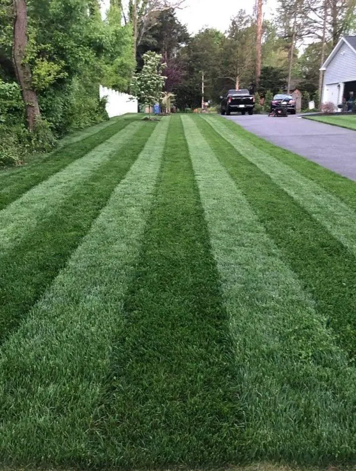 Custom yard cleanup service experts serving Richmond, TX - Santos Lawn Services