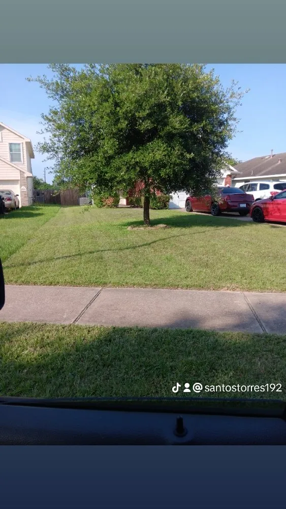 Affordable lawn care service for beautiful yards in Richmond, TX by Santos Lawn Services