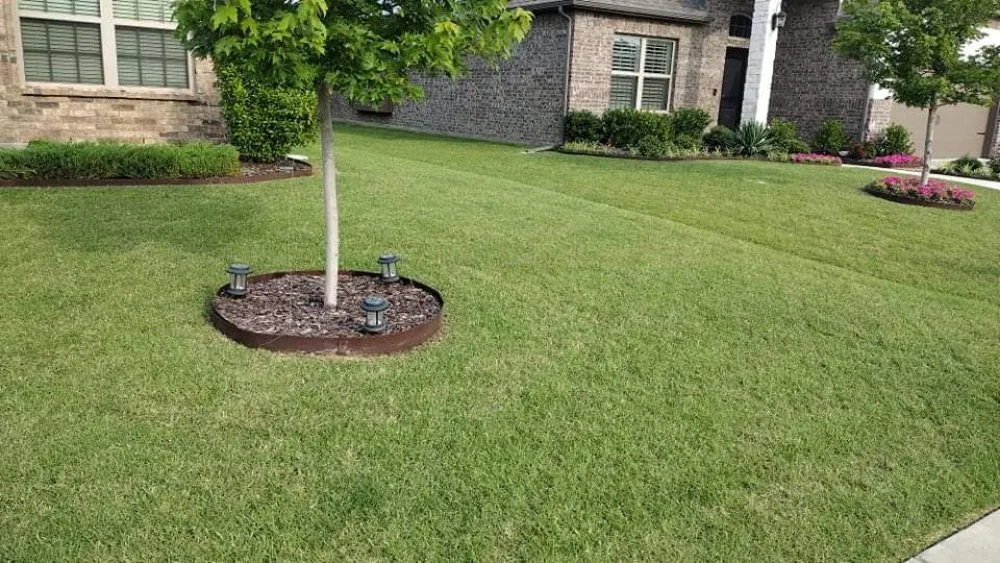 Local landscaping services in Richmond, TX by Santos Lawn Services