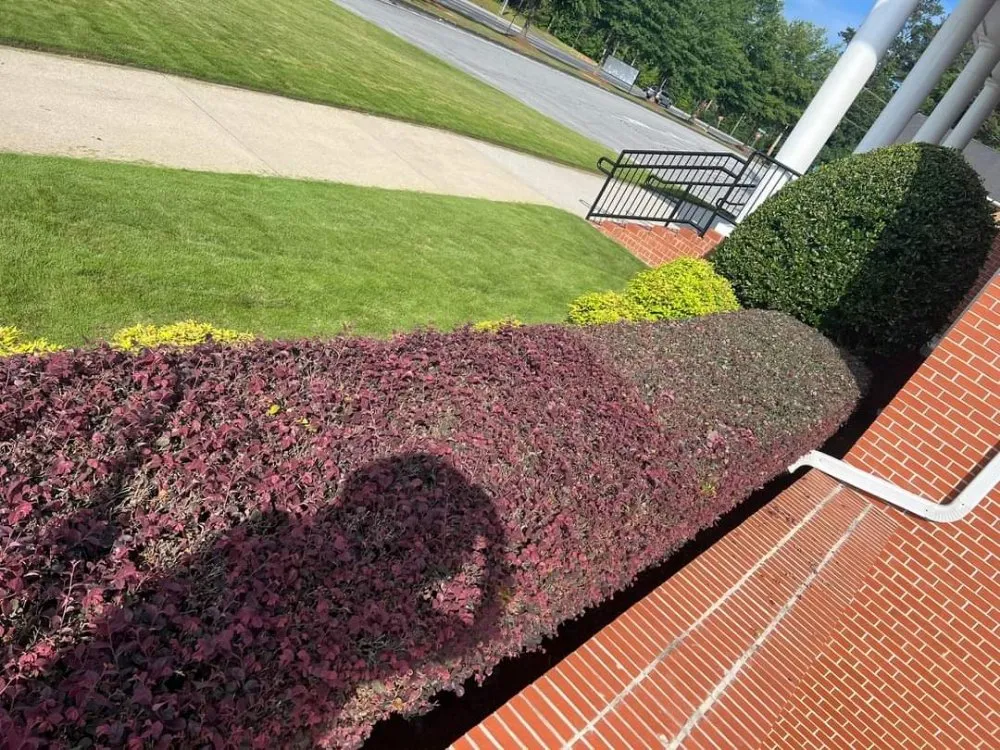 Reliable landscape design in Richmond, TX by Santos Lawn Services