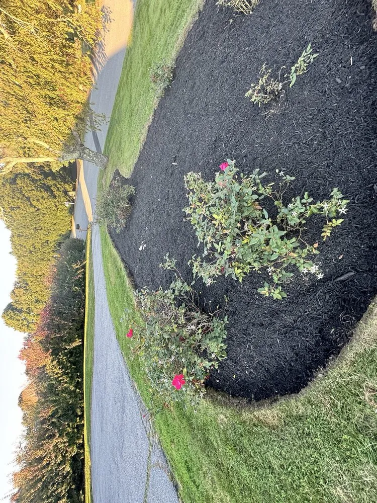 Custom outdoor landscaping experts serving Newport, RI - Santos Masonry Landscape