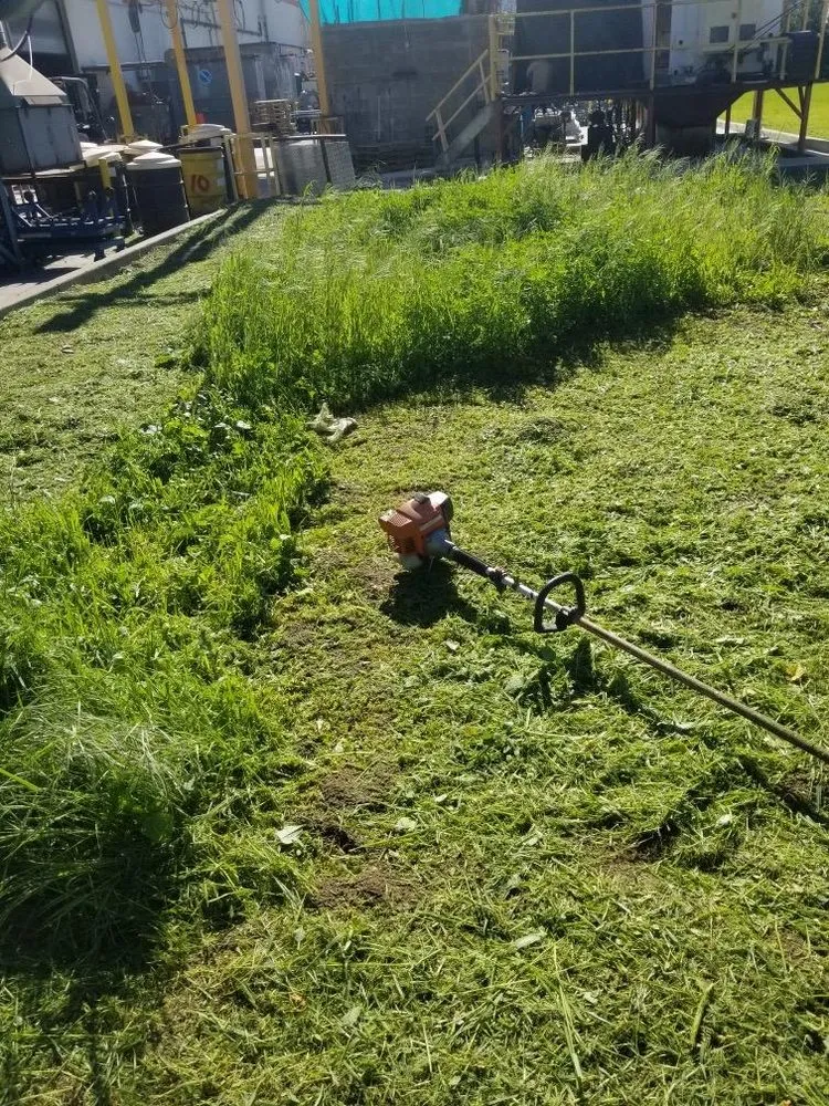 Reliable yard maintenance in La Puente, CA - Santos Tree Service