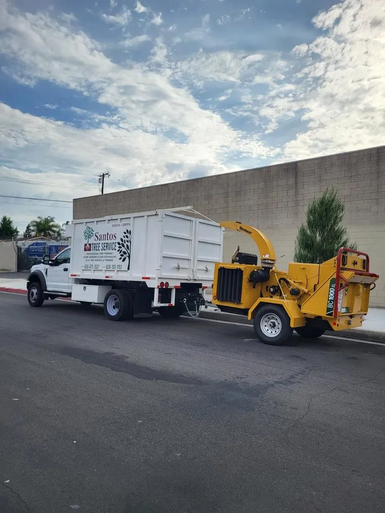 Professional landscaping services with custom design in La Puente, CA by Santos Tree Service