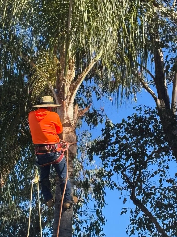 Reliable garden landscaping experts serving Pomona, CA - Santos Tree Service