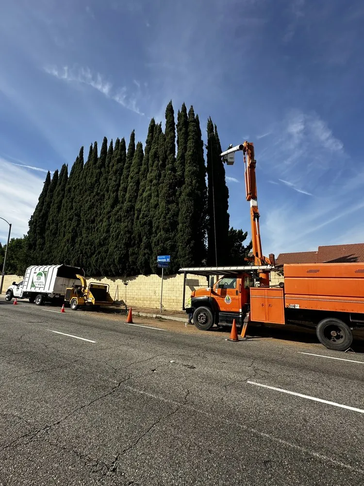 Affordable lawn mowing service for beautiful yards across Pomona, CA - Santos Tree Service