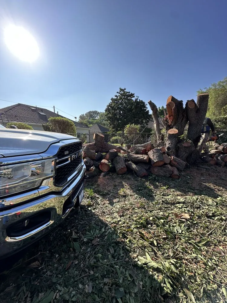 Local lawn care service in Pomona, CA - Santos Tree Service