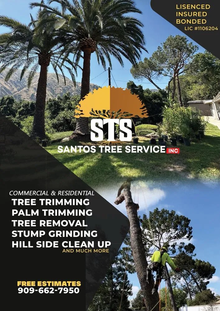 Professional lawn mowing service for residential properties in Pomona, CA by Santos Tree Service