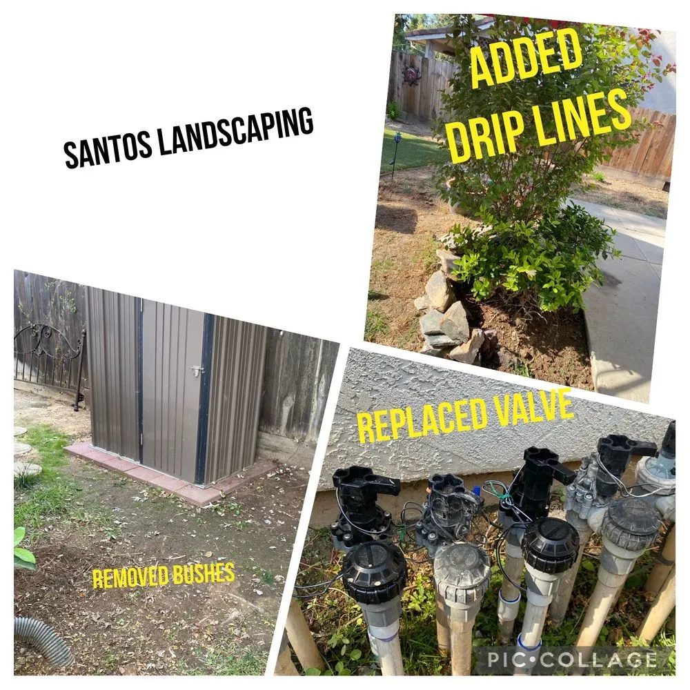 Expert lawn care service for homes across Merced, CA - Santos Valley Landscape Design