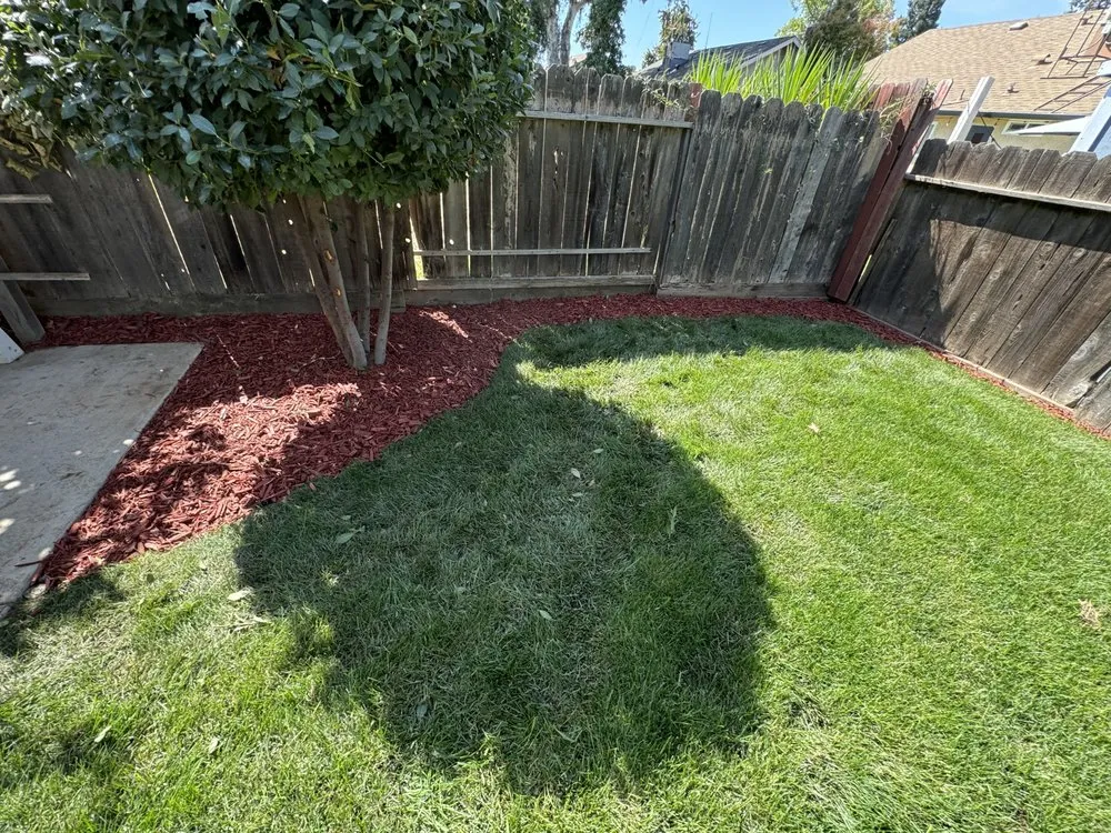 Affordable yard maintenance near you in Merced, CA by Santos Valley Landscape Design