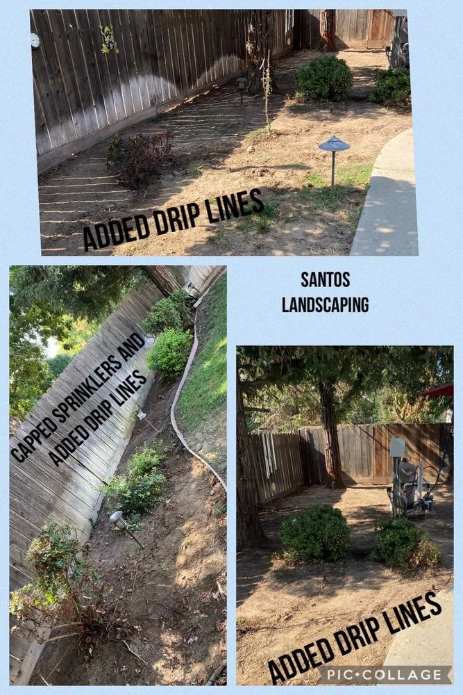 Local yard maintenance for beautiful yards across Merced, CA - Santos Valley Landscape Design