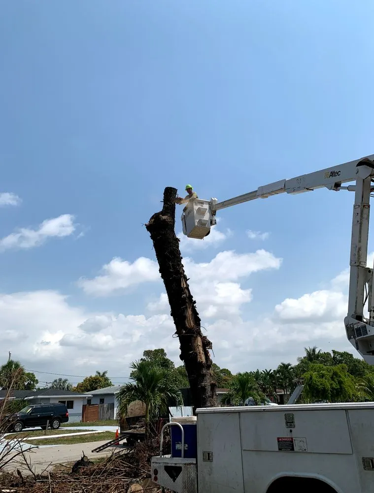 Trusted lawn care service in Lake Worth Beach, FL - Santos Velasquez & Landscaping