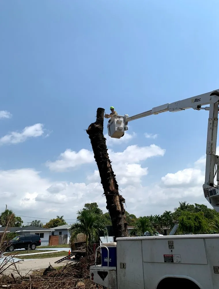 Reliable outdoor landscaping in Lake Worth Beach, FL - Santos Velasquez & Landscaping