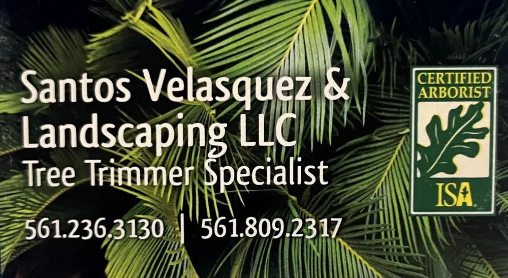 Expert outdoor landscaping in Lake Worth Beach, FL - Santos Velasquez & Landscaping