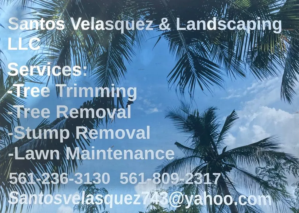 Professional yard maintenance with custom design in Lake Worth Beach, FL by Santos Velasquez & Landscaping