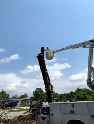 Santos Velasquez & Landscaping