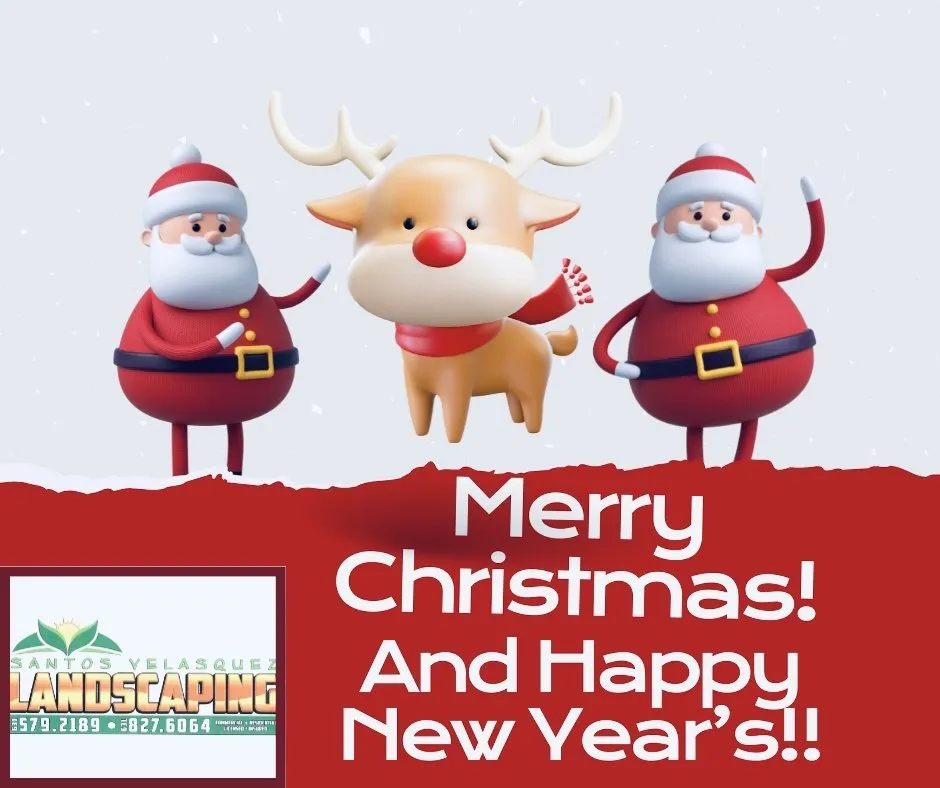 Trusted lawn mowing service near you in Centereach, NY by Santos Velasquez Landscaping