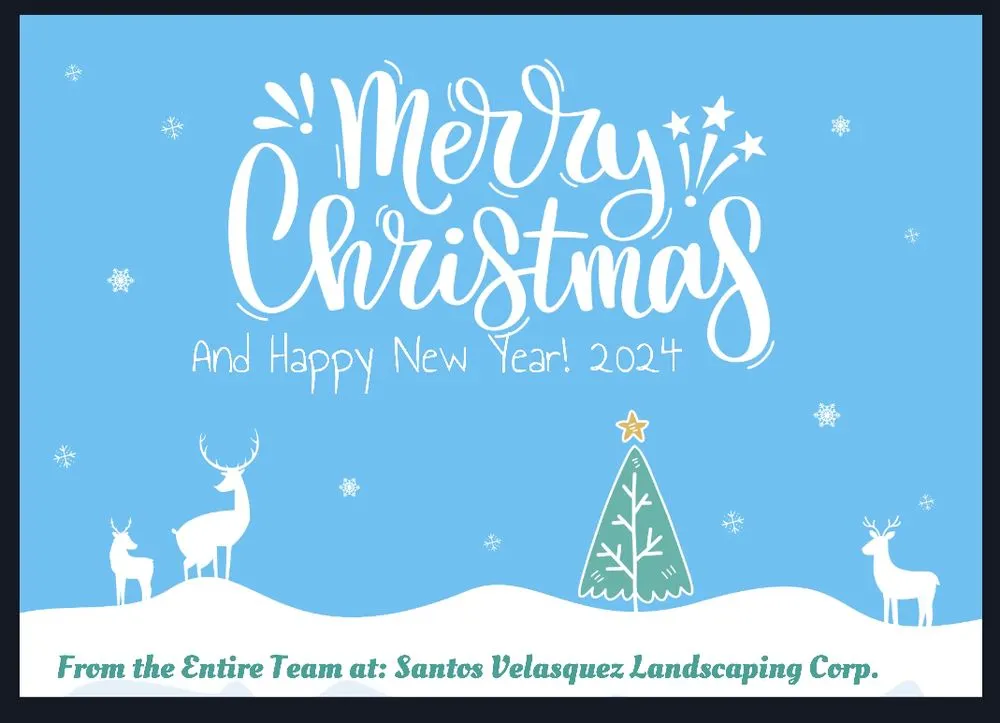 Reliable yard cleanup service for residential properties across Centereach, NY - Santos Velasquez Landscaping