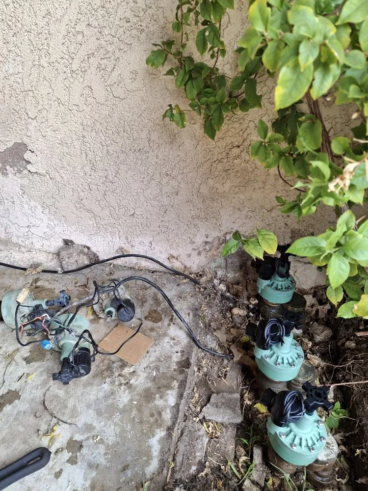 Reliable yard cleanup service for homes across San Bernardino, CA - Santoyo Lawn Care