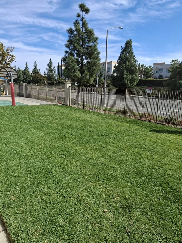 Custom lawn mowing service experts serving San Bernardino, CA - Santoyo Lawn Care