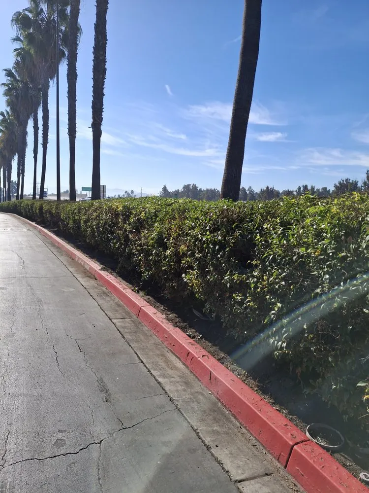 Professional residential landscaping near you in San Bernardino, CA by Santoyo Lawn Care