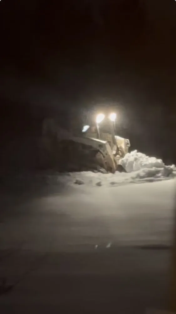 Reliable outdoor landscaping for beautiful yards in Chapel Hill, NC by Santoyo Services