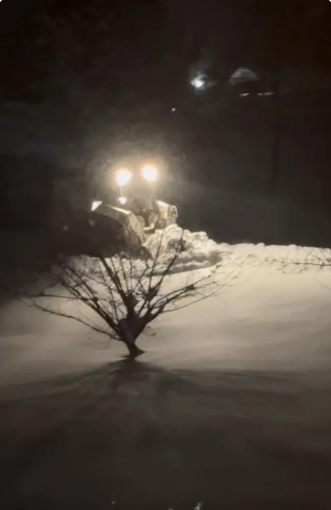 Expert yard cleanup service near you in Chapel Hill, NC by Santoyo Services