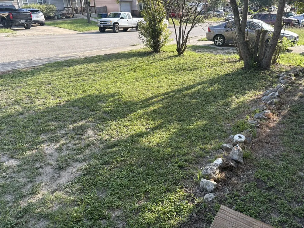 Top-rated landscape installation experts serving San Antonio, TX - Santx lawn services