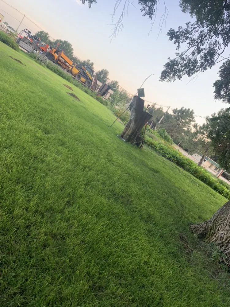 Trusted yard maintenance in San Antonio, TX - Santx lawn services