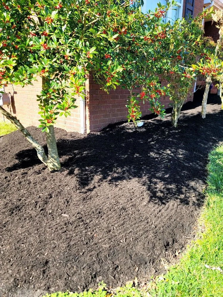 Expert lawn care service experts serving Murfreesboro, TN - Santys Lawncare