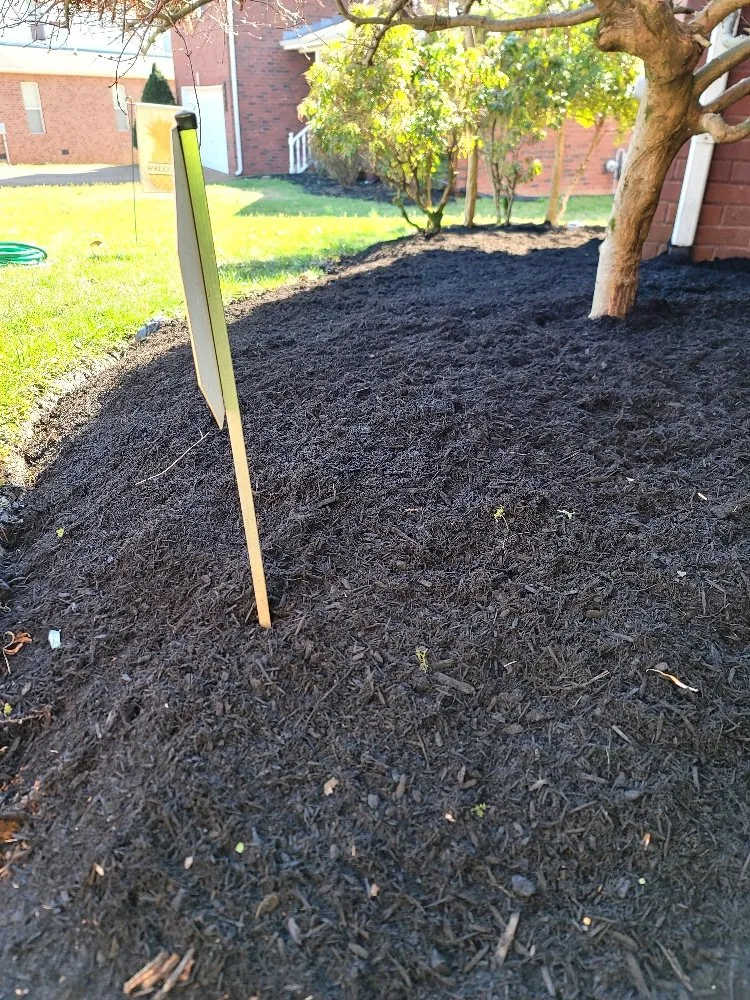 Expert yard cleanup service experts serving Murfreesboro, TN - Santys Lawncare