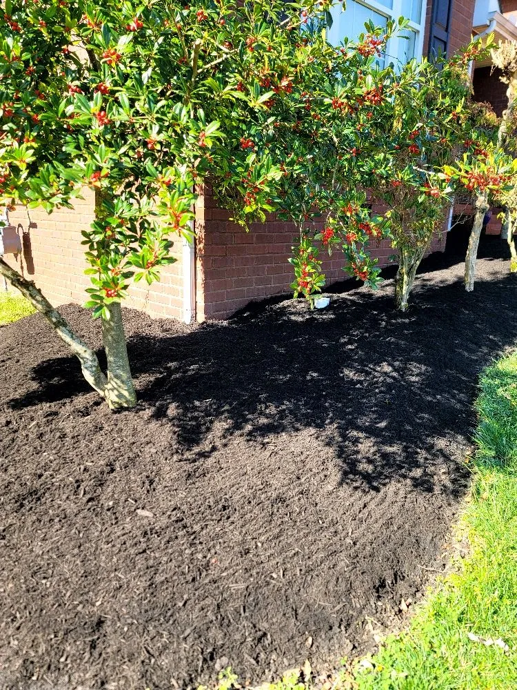 Expert landscape design experts serving Murfreesboro, TN - Santys Lawncare