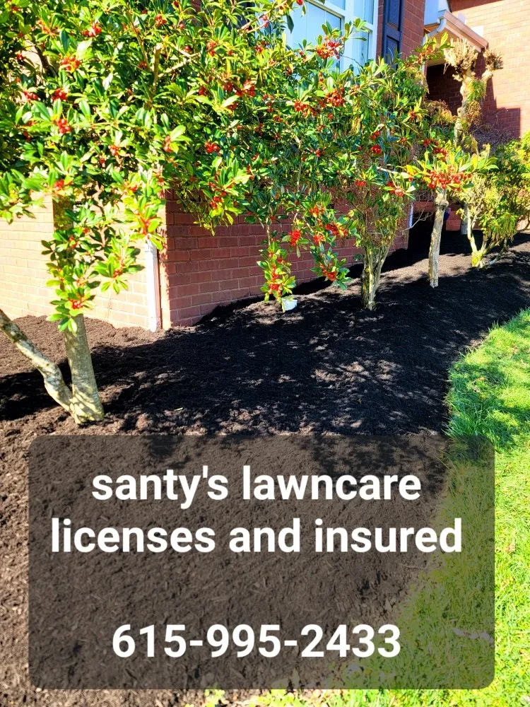 Top-rated residential landscaping experts serving Murfreesboro, TN - Santys Lawncare