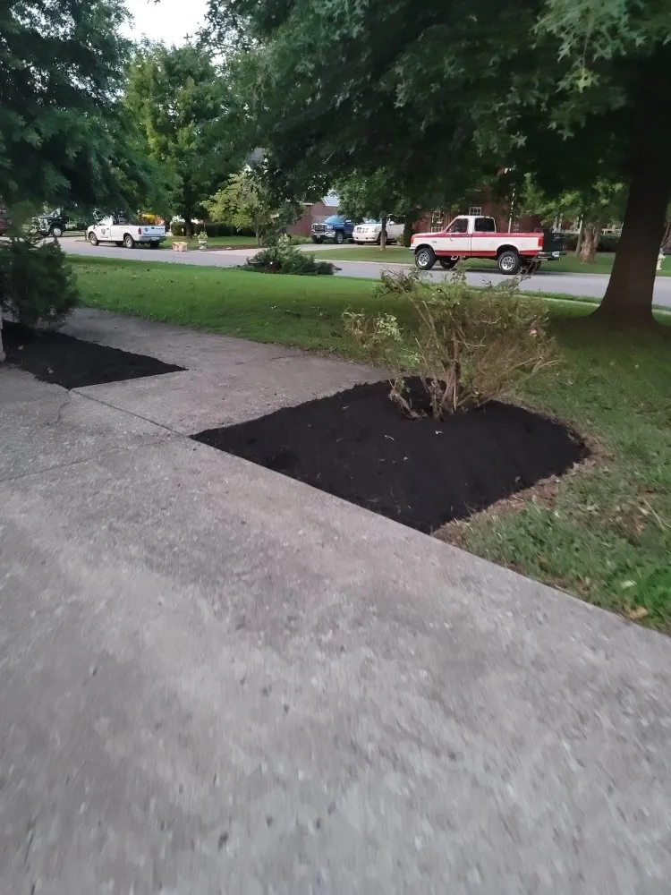 Affordable landscaping services in Murfreesboro, TN - Santys Lawncare