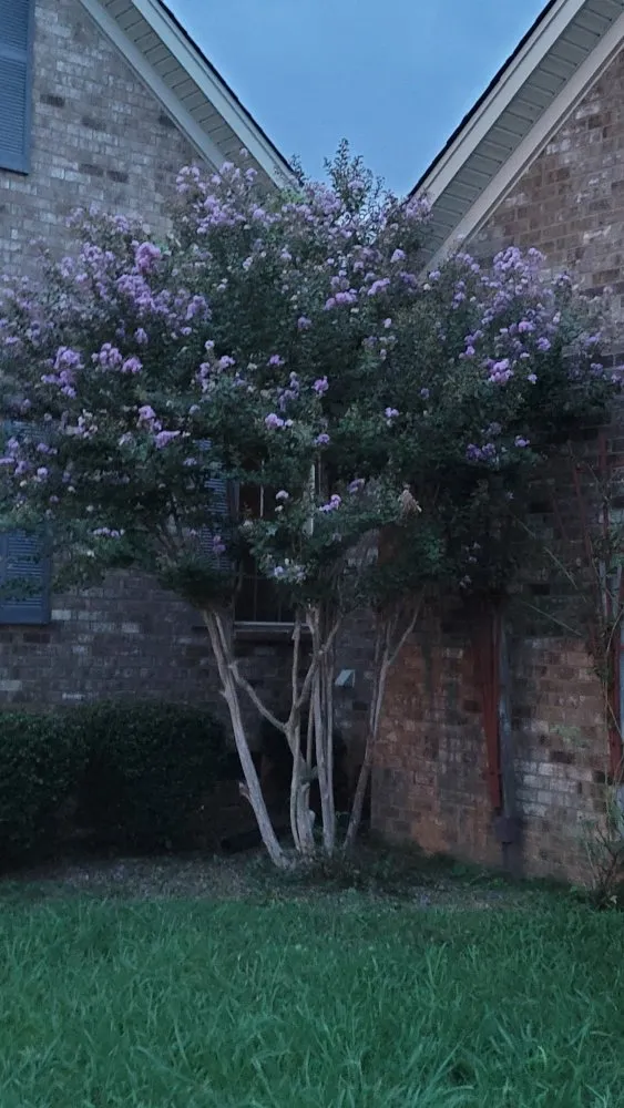 Top-rated garden landscaping in Murfreesboro, TN by Santys Lawncare