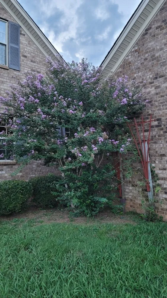 Affordable landscape installation experts serving Murfreesboro, TN - Santys Lawncare