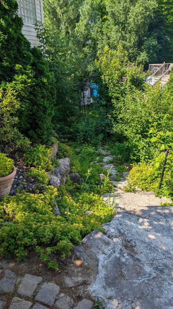 Trusted landscaping services in Maple Grove, MN by Sanvik Solutions