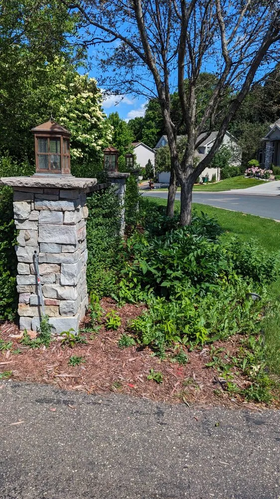 Custom yard cleanup service for year-round maintenance in Maple Grove, MN by Sanvik Solutions