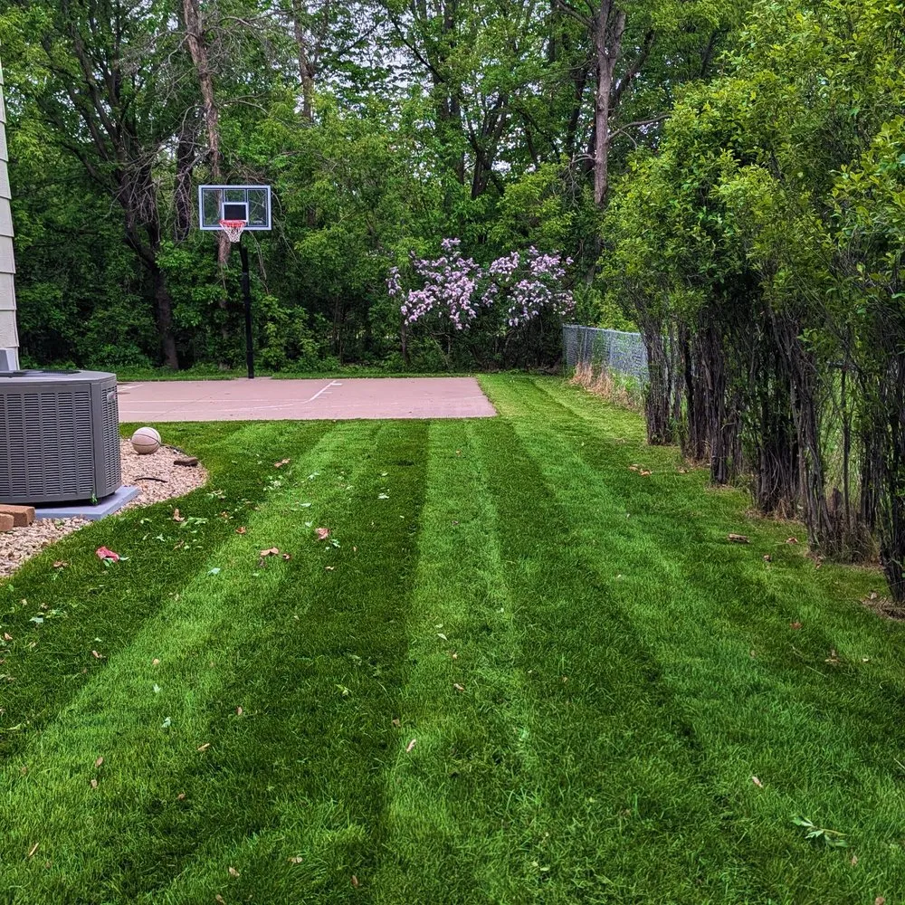 Trusted yard maintenance experts serving Maple Grove, MN - Sanvik Solutions